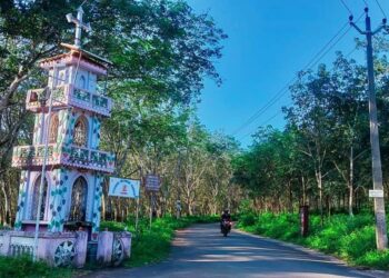 പാടത്തേക്ക് ഒരു യാത്ര; ആരുമറിയാത്ത സ്വപ്ന കാഴ്ചകൾ