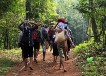 ശബരിമല മണ്ഡലകാല തീർഥാടനം; ഹൃദയാഘാതം മൂലം മരിച്ചത് 24 പേർ