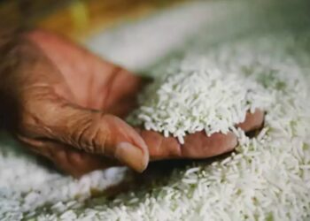ഇന്ത്യയുടെ തേയിലയും ബസുമതി അരിയും വേണ്ടെന്ന് ഇറാന്‍; കാരണം അവ്യക്തം