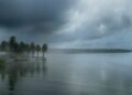 Kerala monsoon arrives