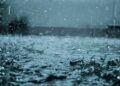 Heavy rain Kerala red alert 6 districts