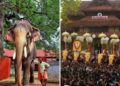 Thechikottukavu Ramachandran Will Participate In Thrissur Pooram 2025