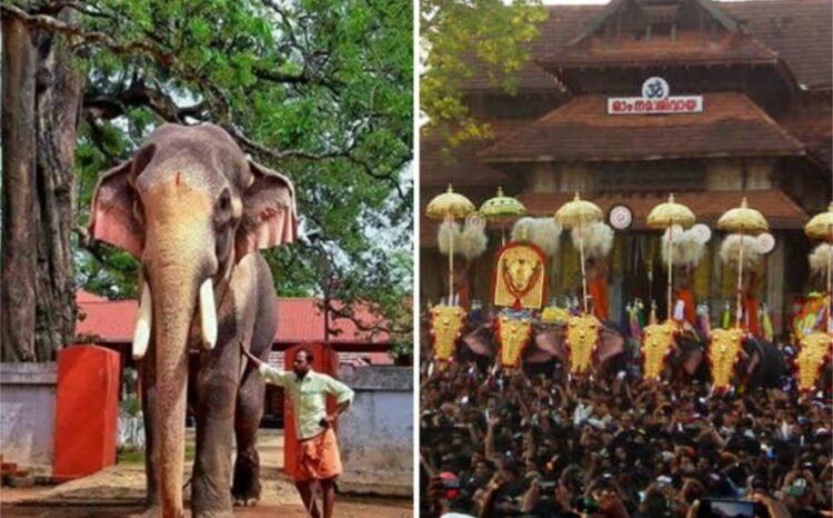 Thechikottukavu Ramachandran Will Participate In Thrissur Pooram 2025